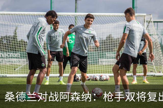 桑德兰对战阿森纳：枪手双将复出在即，萨利巴长期缺阵成最大隐忧